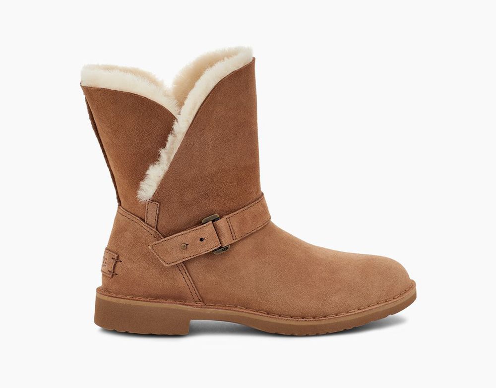 Ugg Short Boot Womens - Ugg Syden Brown - 782HITWUS